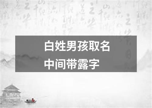 白姓男孩取名中间带露字