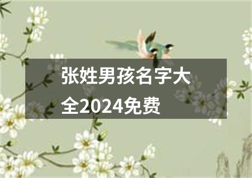 张姓男孩名字大全2024免费