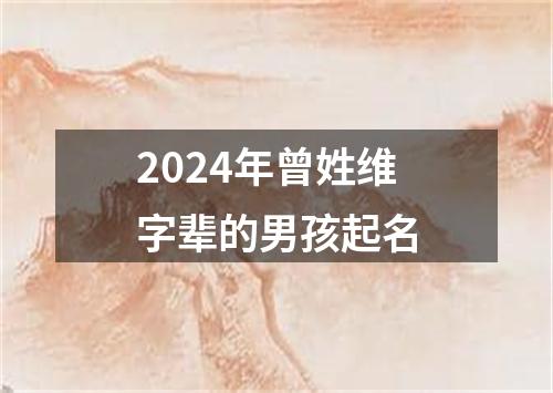 2024年曾姓维字辈的男孩起名