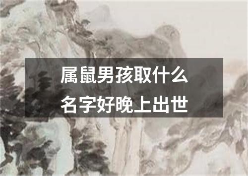 属鼠男孩取什么名字好晚上出世