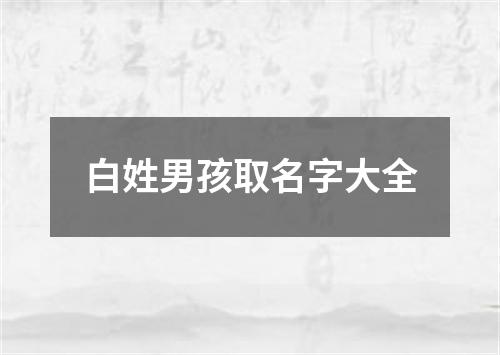 白姓男孩取名字大全