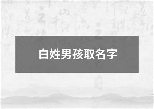 白姓男孩取名字