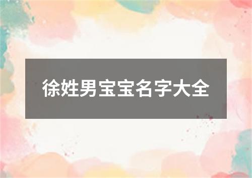 徐姓男宝宝名字大全