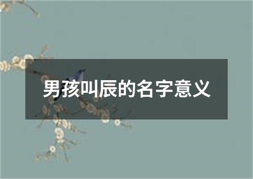 男孩叫辰的名字意义