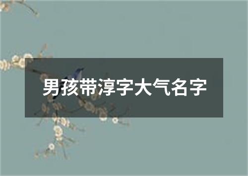 男孩带淳字大气名字