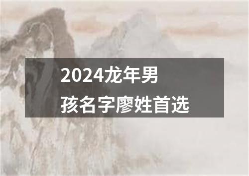 2024龙年男孩名字廖姓首选