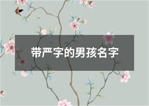 带严字的男孩名字