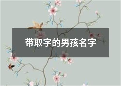 带取字的男孩名字