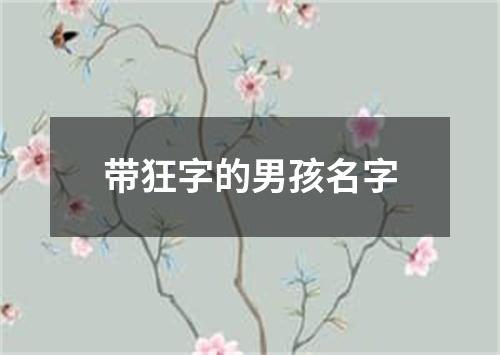 带狂字的男孩名字