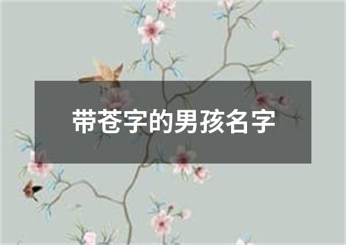 带苍字的男孩名字