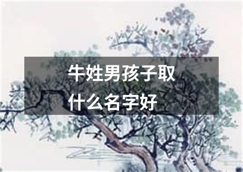 牛姓男孩子取什么名字好