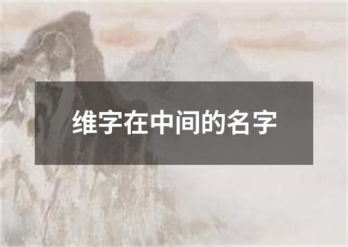 维字在中间的名字