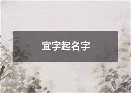 宜字起名字