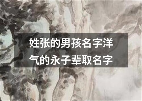 姓张的男孩名字洋气的永子辈取名字