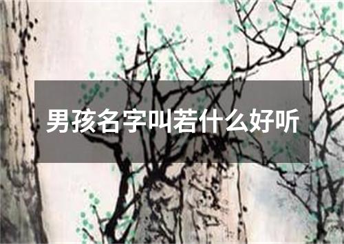 男孩名字叫若什么好听