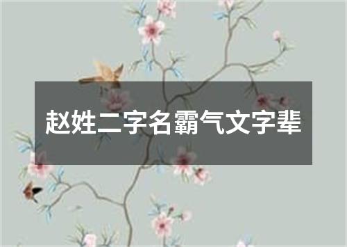 赵姓二字名霸气文字辈