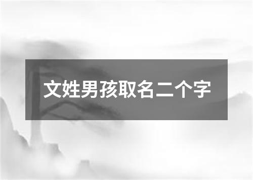 文姓男孩取名二个字