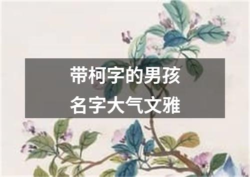 带柯字的男孩名字大气文雅