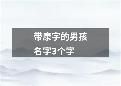 带康字的男孩名字3个字