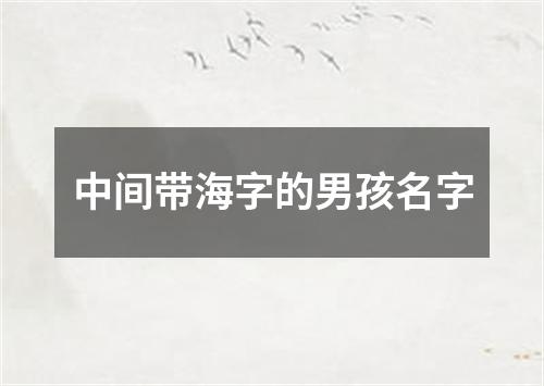 中间带海字的男孩名字