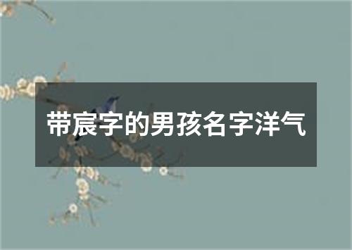 带宸字的男孩名字洋气