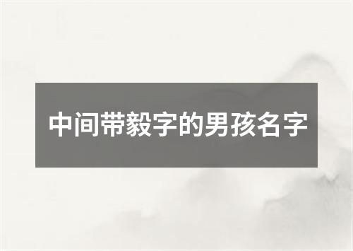 中间带毅字的男孩名字