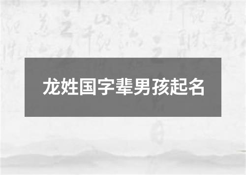 龙姓国字辈男孩起名