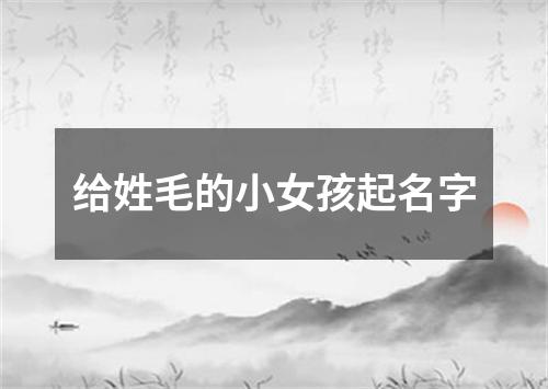 给姓毛的小女孩起名字