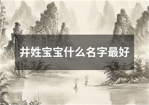 井姓宝宝什么名字最好