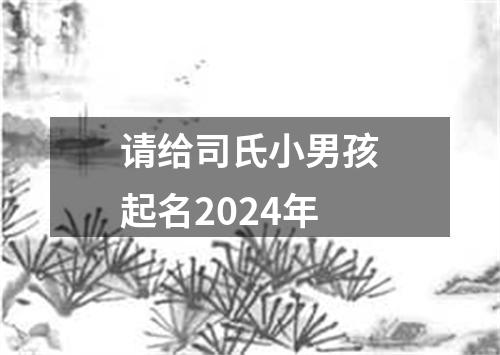 请给司氏小男孩起名2024年