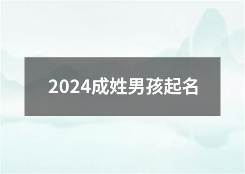 2024成姓男孩起名