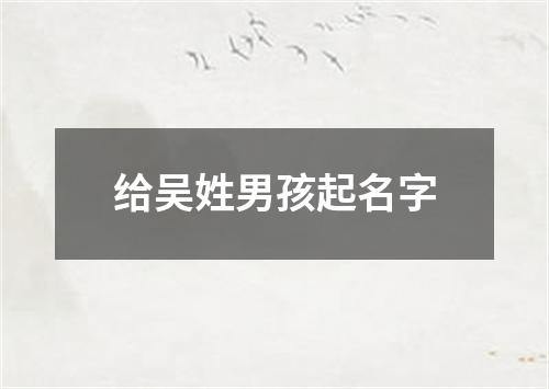 给吴姓男孩起名字