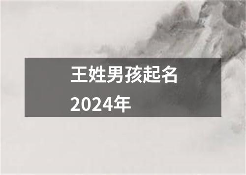 王姓男孩起名2024年