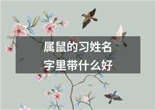 属鼠的习姓名字里带什么好