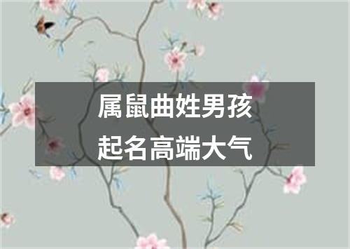 属鼠曲姓男孩起名高端大气