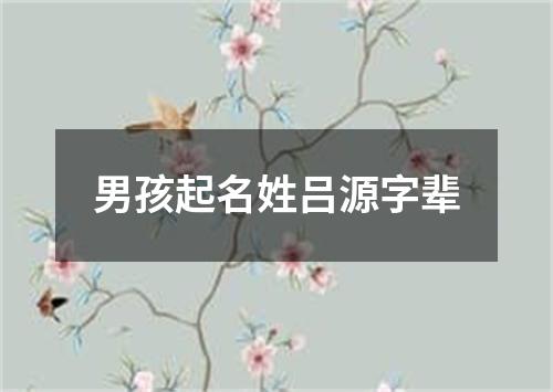 男孩起名姓吕源字辈