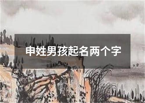 申姓男孩起名两个字