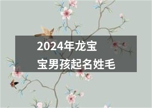 2024年龙宝宝男孩起名姓毛