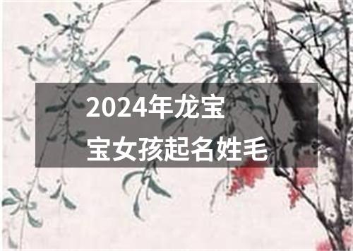 2024年龙宝宝女孩起名姓毛