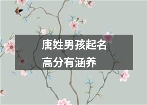 唐姓男孩起名高分有涵养