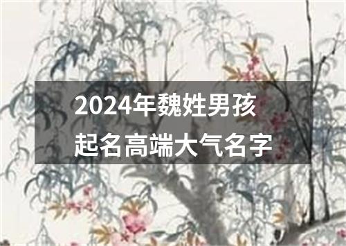 2024年魏姓男孩起名高端大气名字