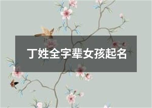 丁姓全字辈女孩起名