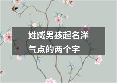 姓臧男孩起名洋气点的两个字