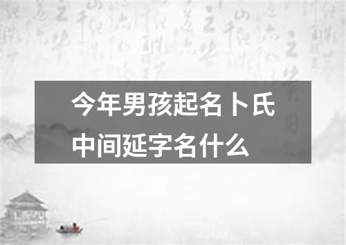 今年男孩起名卜氏中间延字名什么