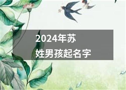 2024年苏姓男孩起名字