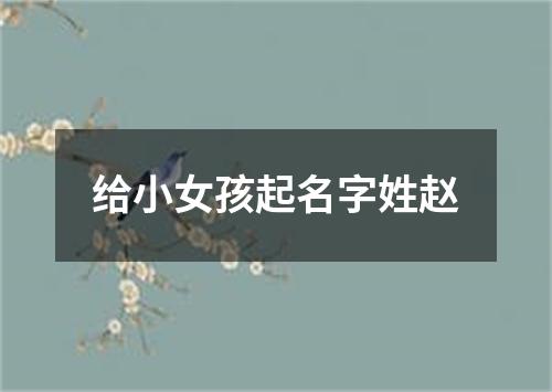 给小女孩起名字姓赵