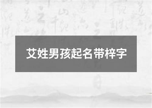 艾姓男孩起名带梓字