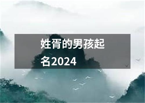 姓胥的男孩起名2024