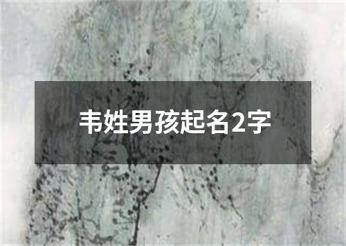 韦姓男孩起名2字