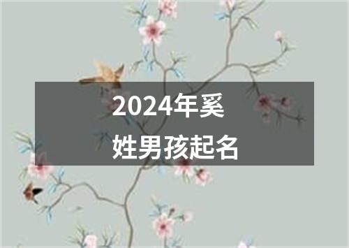 2024年奚姓男孩起名